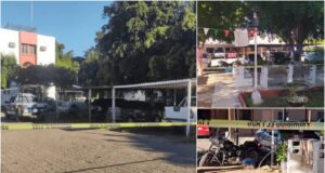 Expresiones criminales citadinas