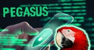 Que culpa tiene la Guacamaya