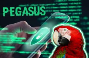 Que culpa tiene la Guacamaya