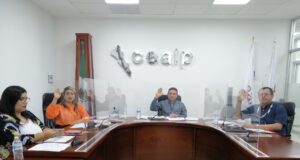 CEAIP resuelve 19 recursos de revisión en sesión ordinaria número 37