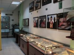 Narco-museos
