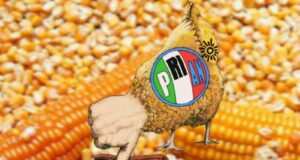 Los tienen maiceados