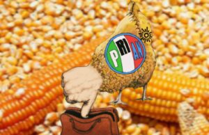 Los tienen maiceados