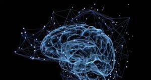 Decretos, política, y biología