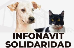 Campaña de Esterilización del Ayuntamiento llega a Infonavit Solidaridad