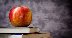 ¡Felicidades maestros!