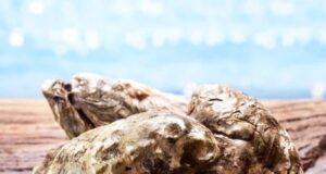 Se declara declara veda sanitaria en la Bahía de Altata Norte