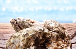 Se declara declara veda sanitaria en la Bahía de Altata Norte