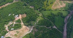 Sinaloa busca rescatar hipopótamos colombianos