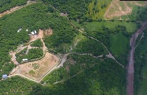 Sinaloa busca rescatar hipopótamos colombianos