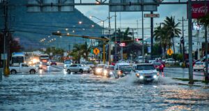 Lluvias y vientos dejan daños y árboles derribados
