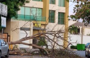 Las lluvias ponen a trabajar al Ayuntamiento