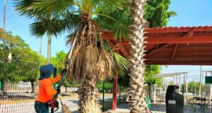 Centro de Barrio El Tamarindo continúa renovando sus espacios