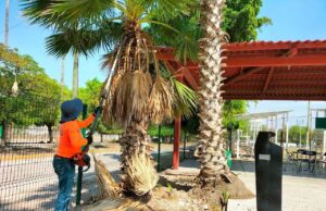 Centro de Barrio El Tamarindo continúa renovando sus espacios