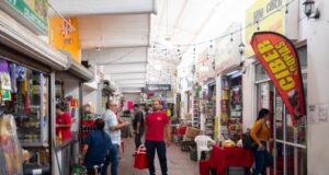 Mantiene SEDECOM entrega de créditos RED FOSIN a negocios Mantiene SEDECOM entrega de créditos RED FOSIN a negocios