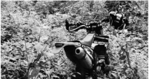 Muchas formas de morir