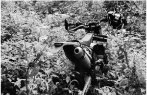 Muchas formas de morir