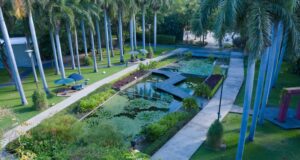 Favorecen áreas verdes el bienestar emocional y la resiliencia