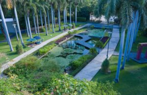 Favorecen áreas verdes el bienestar emocional y la resiliencia