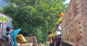 Ayuntamiento de Culiacán realiza Campaña de Descacharrización en Las Flores