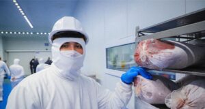 Sinaloa registró cerca de 20 mil nuevos empleos formales en agosto Sinaloa registró cerca de 20 mil nuevos empleos formales en agosto