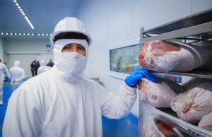 Sinaloa registró cerca de 20 mil nuevos empleos formales en agosto Sinaloa registró cerca de 20 mil nuevos empleos formales en agosto