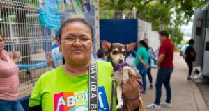Jornada de esterilización de perros y gatos brinda 20 servicios en la colonia El Mirador