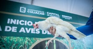 Da inicio a Programa de Cría de Aves de Traspatio
