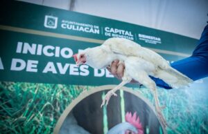 Da inicio a Programa de Cría de Aves de Traspatio