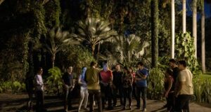 Recorridos nocturnos, cine al aire libre y bazar, las novedades en Jardín Botánico Culiacán