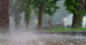 El huracán Norma rebasó la capacidad que tienen los ríos de conducir flujos debido a las condiciones físicas de las cuencas, señala especialista El huracán Norma rebasó la capacidad que tienen los ríos de conducir flujos debido a las condiciones físicas de las cuencas, señala especialista