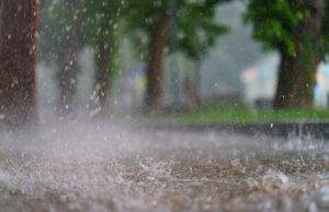 El huracán Norma rebasó la capacidad que tienen los ríos de conducir flujos debido a las condiciones físicas de las cuencas, señala especialista El huracán Norma rebasó la capacidad que tienen los ríos de conducir flujos debido a las condiciones físicas de las cuencas, señala especialista