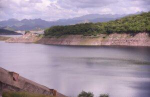 “Norma” trajo una luz de esperanza para los agricultores de Sinaloa, considera especialista