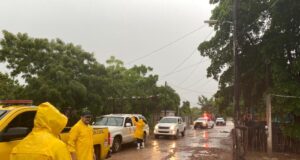 Más de 10 mil elementos se encuentran atendiendo afectaciones por la tormenta tropical “Norma”: Roy Navarrete