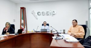 Resuelve CEAIP 30 asuntos de transparencia en 50va Sesión de Pleno