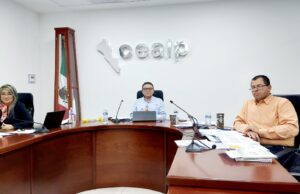 Resuelve CEAIP 30 asuntos de transparencia en 50va Sesión de Pleno