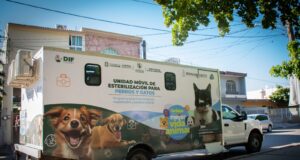 Campaña de Esterilización beneficia a mascotas del sector Lombardo Toledano