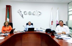 Resuelve CEAIP 96 asuntos de transparencia de entidades públicas