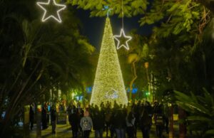 Disfrutan Navidad en el Botánico 110 mil personas