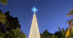 ¡Última oportunidad para adentrarte en el asombroso mundo de la Navidad en el Botánico!