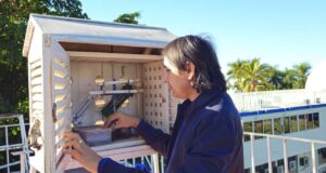 Bajas temperaturas y precipitaciones presentadas en Sinaloa durante enero no sorprenden