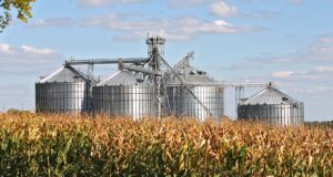 Maíz que compró Gobierno del Estado serán una reserva estratégica alimentaria: Rocha