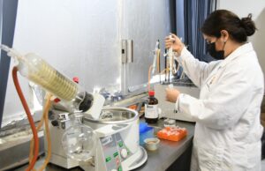 UAS cuenta con 573 investigadores integrantes del SNI, lo que impulsa la innovación y el progreso en beneficio de la sociedad