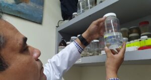 Cuerpo Académico de Vida Silvestre y Biología Molecular de UAS propone medidas epidemiológicas de control