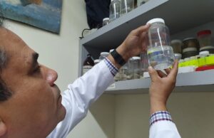 Cuerpo Académico de Vida Silvestre y Biología Molecular de UAS propone medidas epidemiológicas de control