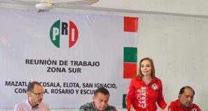 Se ve que no tienen la capacidad legal para poder llevar un Tribunal, como debe de ser: Paola Gárate