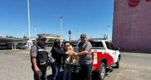 Protección Civil encuentra a dueños de perrito rescatado