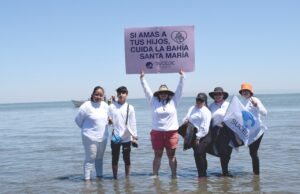Realiza SUCEDE jornada de sensibilización para el cuidado de las islas de la bahía Santa María