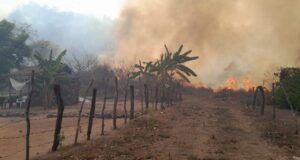 A la baja, incendios forestales en Sinaloa