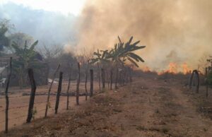 A la baja, incendios forestales en Sinaloa